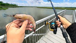 Eating Whatever I Catch.. Dock Fishing and Crabbing (Catch and Cook)