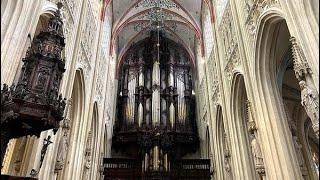 Grand Orgue (1620) - St. Janskathedraal DEN BOSCH