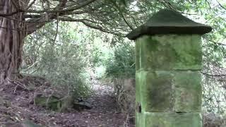 Witches Graves? And a Headless Statue.  The story of Holmhurst St Mary, St  Leonards.