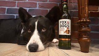 Купажированный шотландский виски Fox&Dogs.