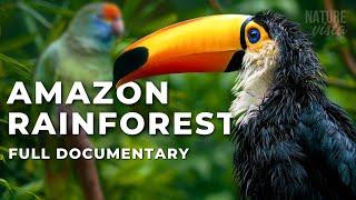 THE GREAT AMAZON | An Extraordinary Journey - Full Documentary