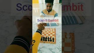 Scotch Gambit ! There's nothing more exciting than checkmate ! #chess #chesstraps #tricks #short