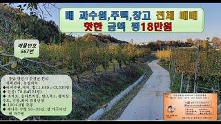 배 과수원, 주택,창고 전체 매매,핫한금액 평18만 #매물번호567번