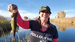 Bishop California Fishing - Trout Fishing