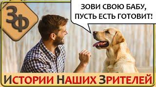 226 Занимательные Истории Наших Зрителей, Иногда и Смешные и Печальные Одновременно