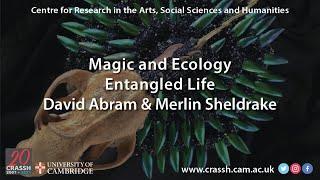 CRASSH  I  Magic and Ecology  I  Entangled Life, Live Q&A