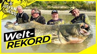 WELTREKORD WELS 281cm  | World Record Catfish 9,23 feet | Der Fisch des Lebens !!