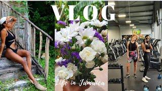 WEEKLY VLOG | Gym days, Beach days, Sephora Haul + more | GabxCaroline