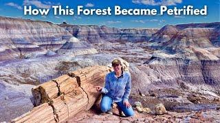 Geologic History of the Petrified Forest | GEO GIRL