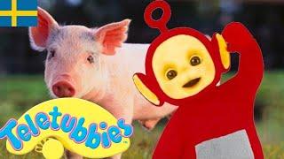 Teletubbies Svenska: Säsong 9 , Episod 218 | Utställningar för barn