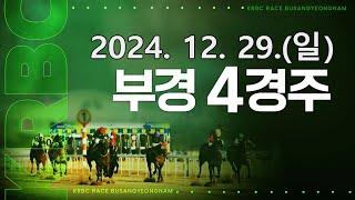 (부산) 2024.12.29 4경주