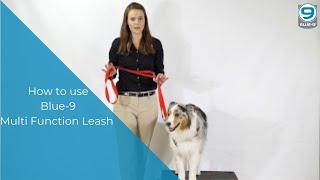 How to use the Multi-Function Training Leash by Blue-9