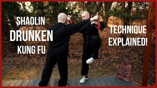 Is Drunken Kung Fu useful in a real fight? Drunken Kung Fu explained ‍