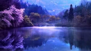 Soothing Flute Music with Serene Water Sounds | Tranquil Pond View for Relaxation