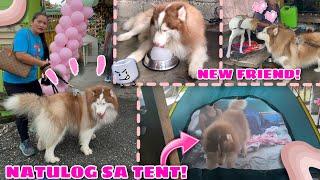 Hercules Attended An Event In MINDORO! | 3 DAYS SA TENT! | Husky Pack TV