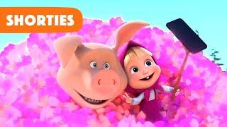 Masha and the Bear Shorties  NEW STORY  Selfie (Episode 10)  Masha and the Bear 2022