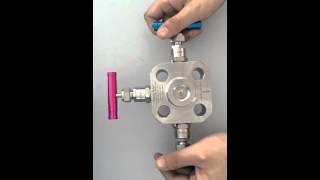 Cowin DBB double block and bleed valve