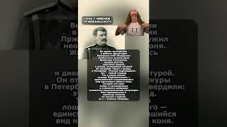 КОНЬ С ИМЕНЕМ ПРЖЕВАЛЬСКОГО @Pirsomanblog #videomaker #shorts