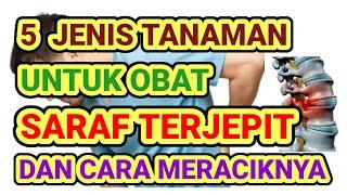 Obat Saraf Terjepit/Saraf Kejepit/Cara Atasi Saraf Terjepit/Saraf Terjepit Pinggang/Sakit Pinggang