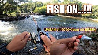 CARA MUDAH CASTING HAMPALA AIR JERNIH ‼️ MANCING HAMPALA SUNGAI BORNEO KALIMANTAN INDONESIA.