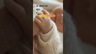 10 фактів про новонароджених #українськийютуб #пізнавальне #длядітей #підпишись #батьківство #діти