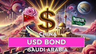 China's USD Bond - What really happened...!