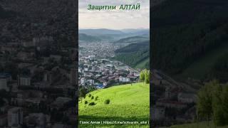 Голос Алтая. https://t.me/sohranim_altai
