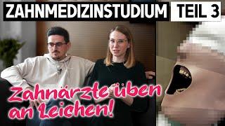 Zahnmedizinstudium (Teil 3/5) | Biochemie, Physiologie, Anatomie, Phantomkurs 1&2