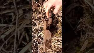 Здесь под ногами валяются деньги! Только надо пойти и откопать их.