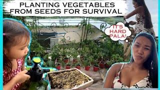 PLANTing VEGETABLES FROM SEEDS FOR SURVIVAL SELF SUFFICIENT JOURNEY