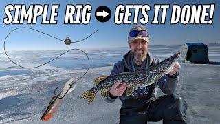 This Simple Rig Is The PERFECT Setup For Ice Fishing Success