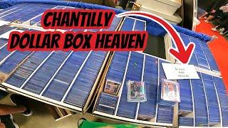 Dollar Box Shopping At The Chantilly Sports Card Show Day 2