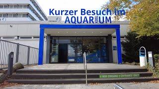 Besuch des Aquarium GEOMAR in Kiel