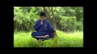 KETVI AMAZY - JUST FOR FUN -  KUNGFU MASTER.avi