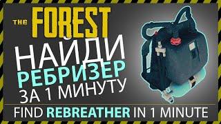 THE FOREST ГДЕ НАЙТИ РЕБРИЗЕР АКВАЛАНГ