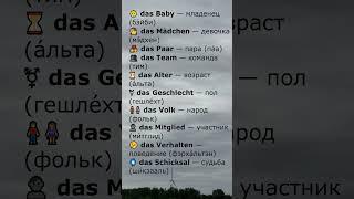 Немецкие существительные среднего рода A1 | Слова с das [8/10]