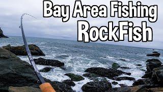 Rock Climbing For Rock Fish (Catch Clean Cook) Bay Area Ocean Fishing