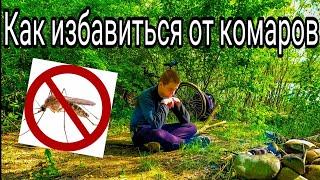 Как избавиться от комаров в лесу? Несколько действующих способов!