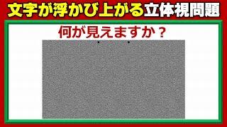 【立体視画像】視力回復に効果的なステレオグラム！9問！