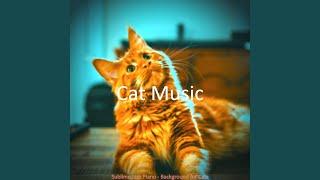 Refined Music for Relaxing Your Cat