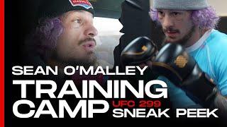 Exclusive Access to Suga Sean O'Malley UFC 299 Training Camp Day vs Marlon Chito Vera | SANABUL