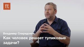 Современные исследования инсайта — Владимир Спиридонов