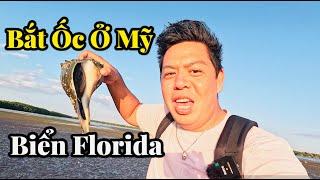 Cuộc Sống Ở Mỹ - Đi Bắt Ốc Ở Florida Bự Chà Bá - Đi Cùng Đen