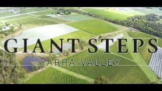 Giants Steps Vineyards, Yarra Valley, Victoria, AUSTRALIA. Vineyards and drone.