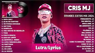 Cris MJ 2024 (Letra/Lyrics) - Grandes Éxitos Mix 2024 - Mejores Canciones 2024 - Mix Reggaeton 2024