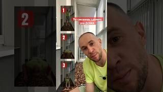 Для легкой тренировки идеально тренируйся правильно  #onlineтренировки #дмитрийульянов