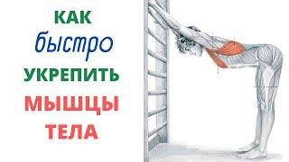 Как быстро укрепить МЫШЦЫ ТЕЛА, всего за 10 МИНУТ В ДЕНЬ