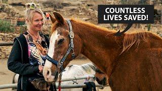 @TenerifeHorseRescue animal sanctuary: a story of LOVE and SUSTAINABLE living