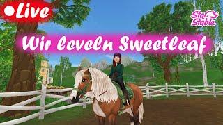 LIVE Wir leveln Sweetleaf | SSO | Server 2 Autumn Star