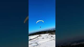 Soaren bei SO - Wasserkuppe Südhang 28.02.22